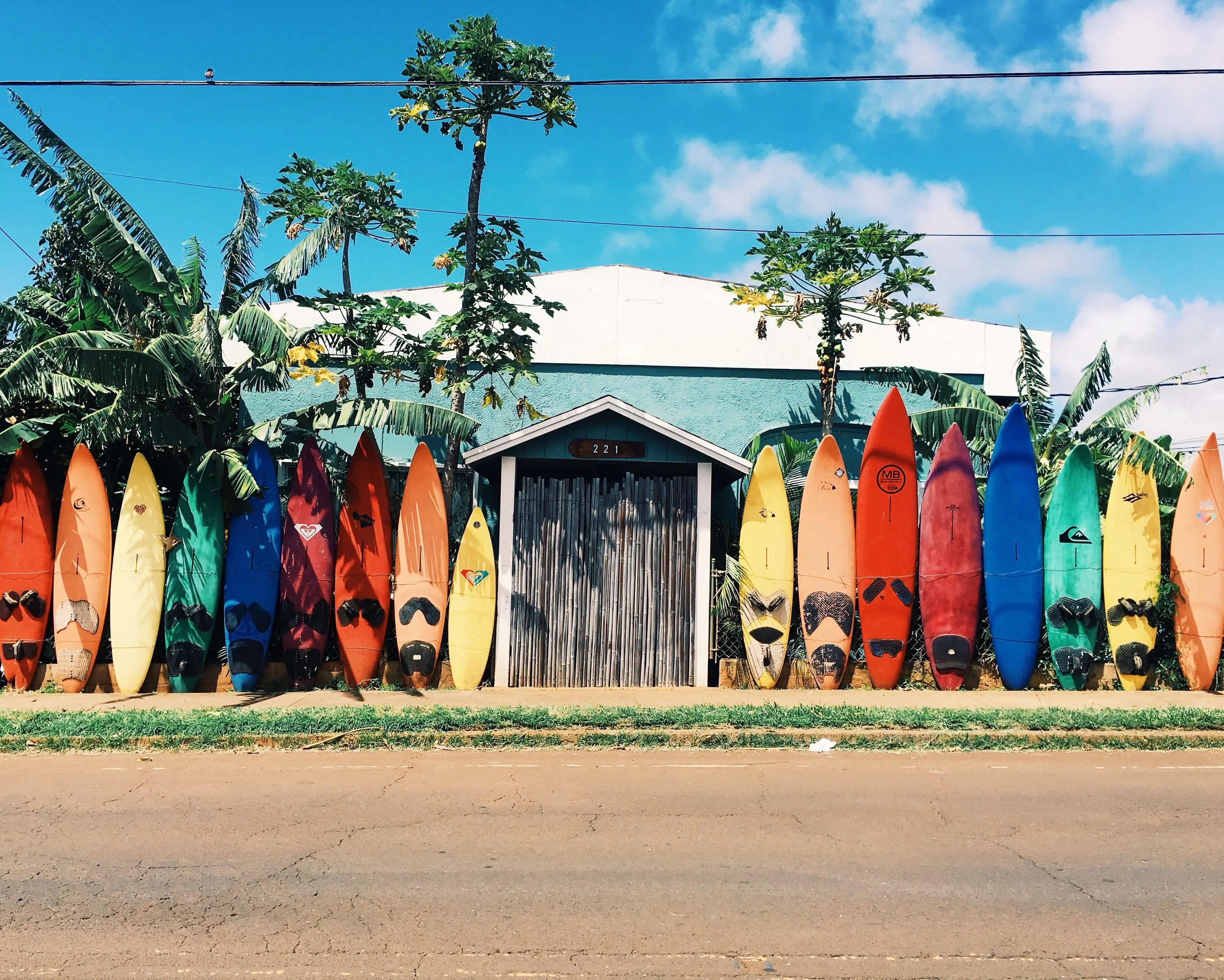 abigail-lynn-316133-unsplash-1 abigail-lynn-316133-unsplash-1